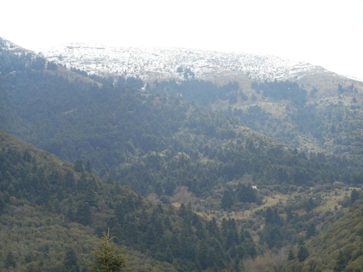 Amadriades Kalavryta Exteriér fotografie